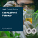 Cannabinoid Potency